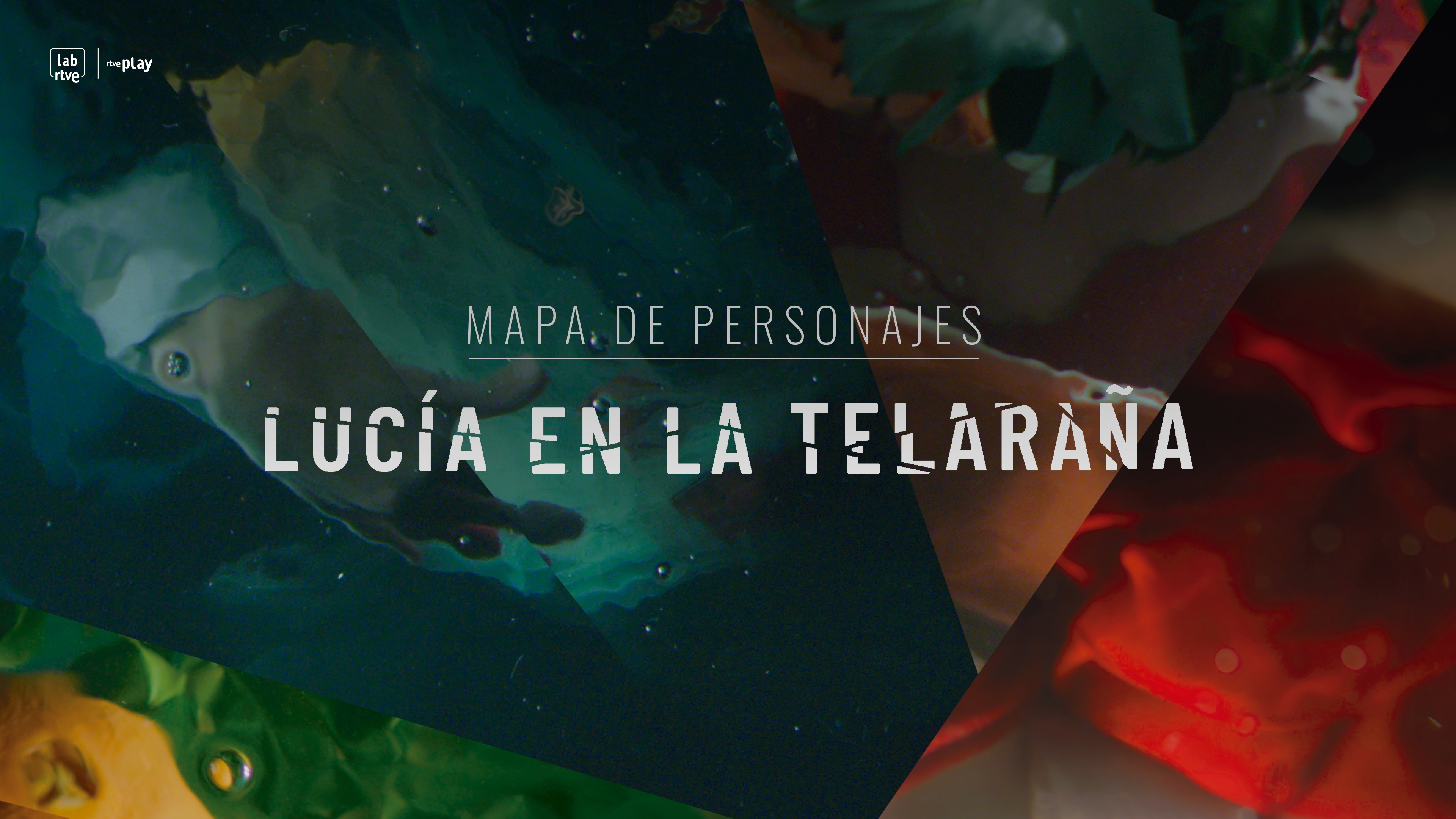¡No te pierdas en la telaraña!