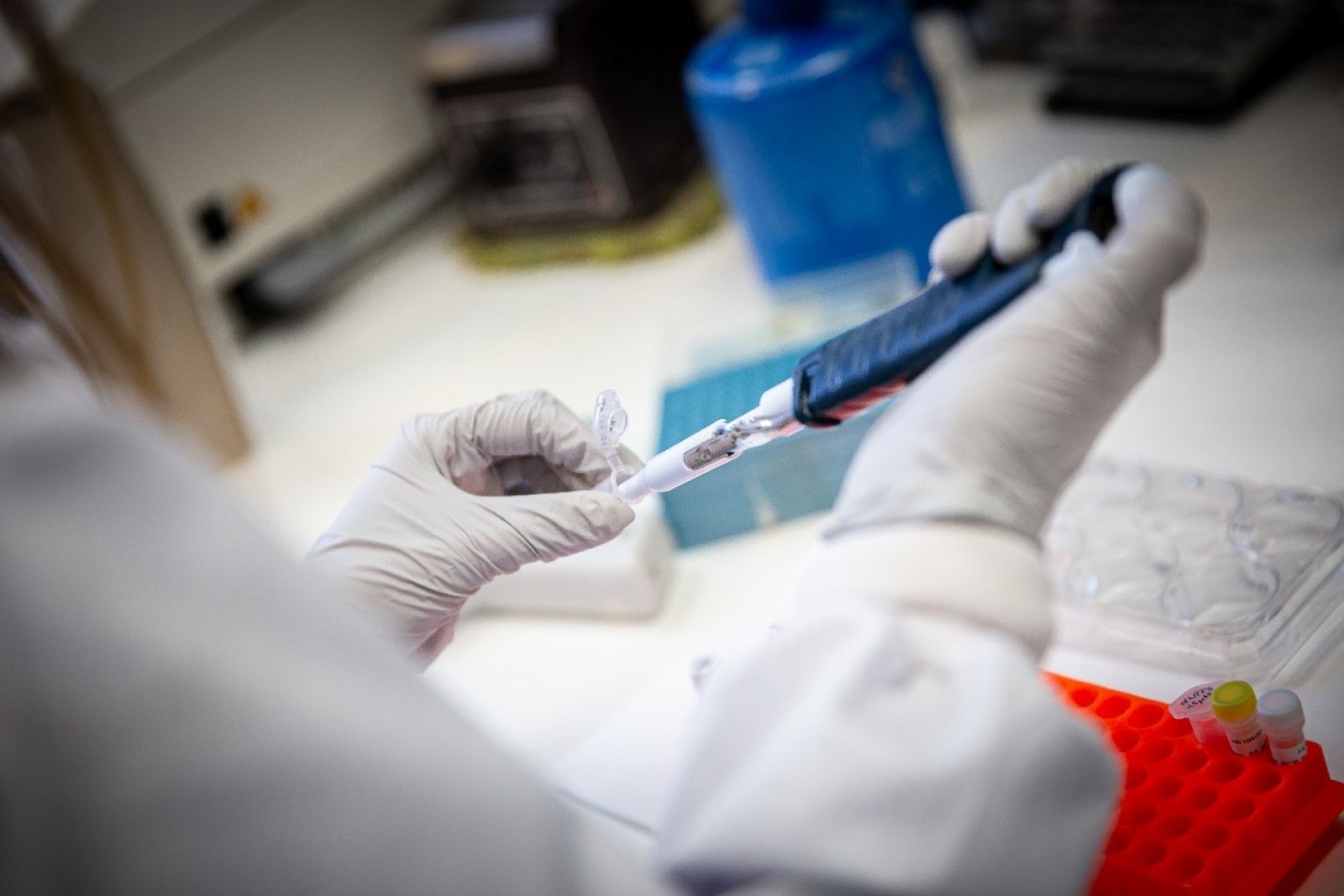 Laboratorio de coronavirus del CNB-CSIC.