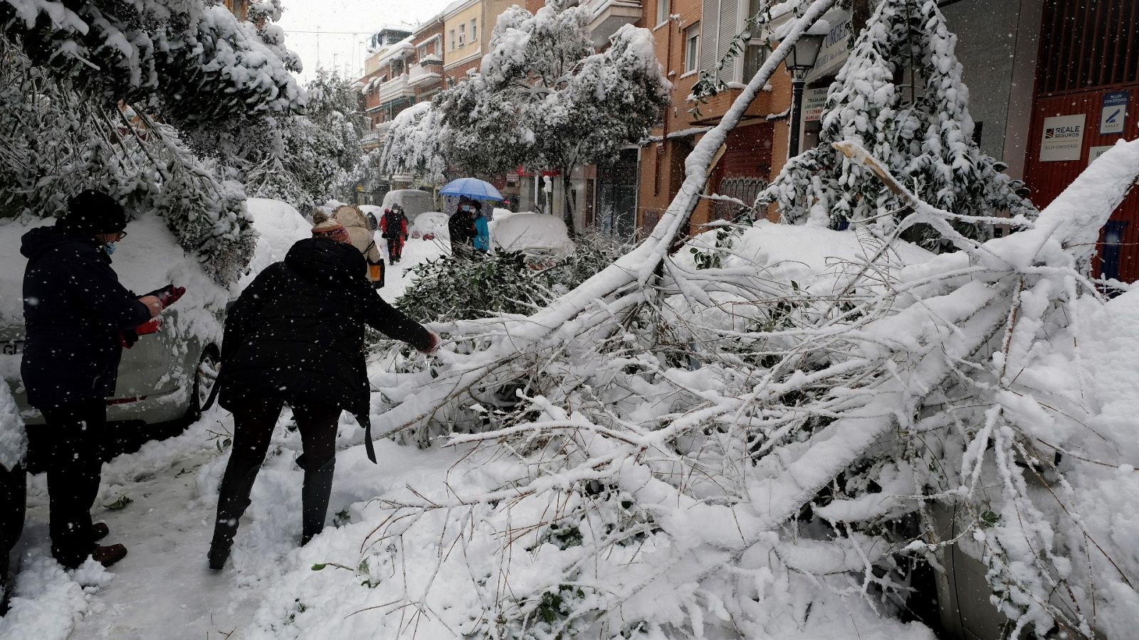 Ramas de árboles caídas en el suelo nevado de un distrito madrileño