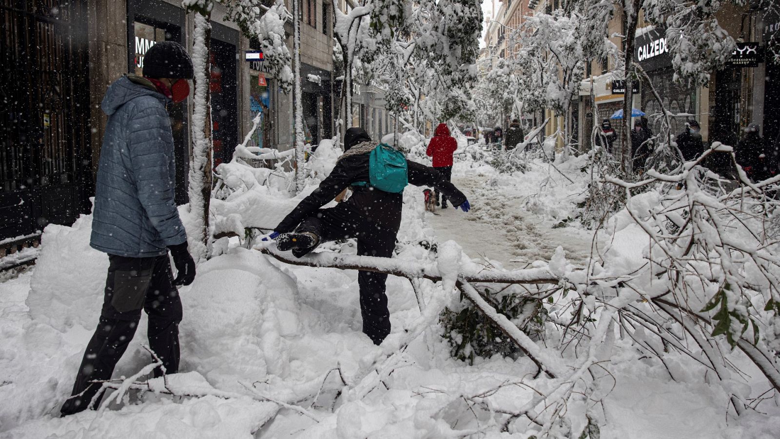 El temporal dañó casi la mitad de los árboles de Madrid