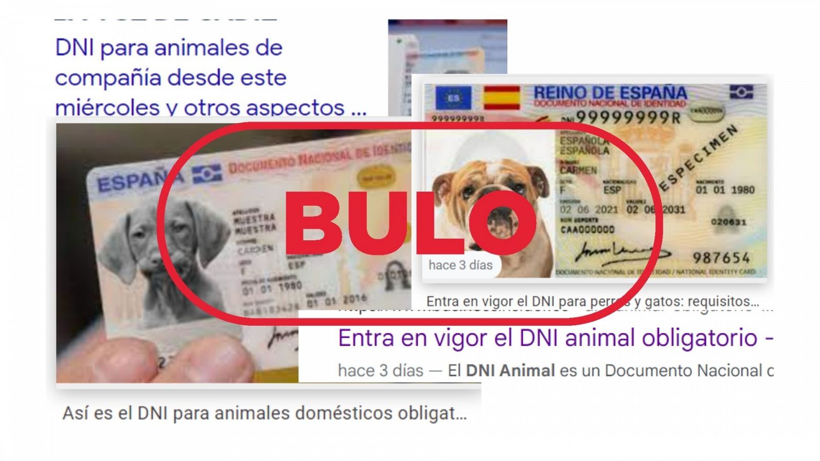 Captura de títulos con el bulo sobre la entrada en vigor del DNI animal