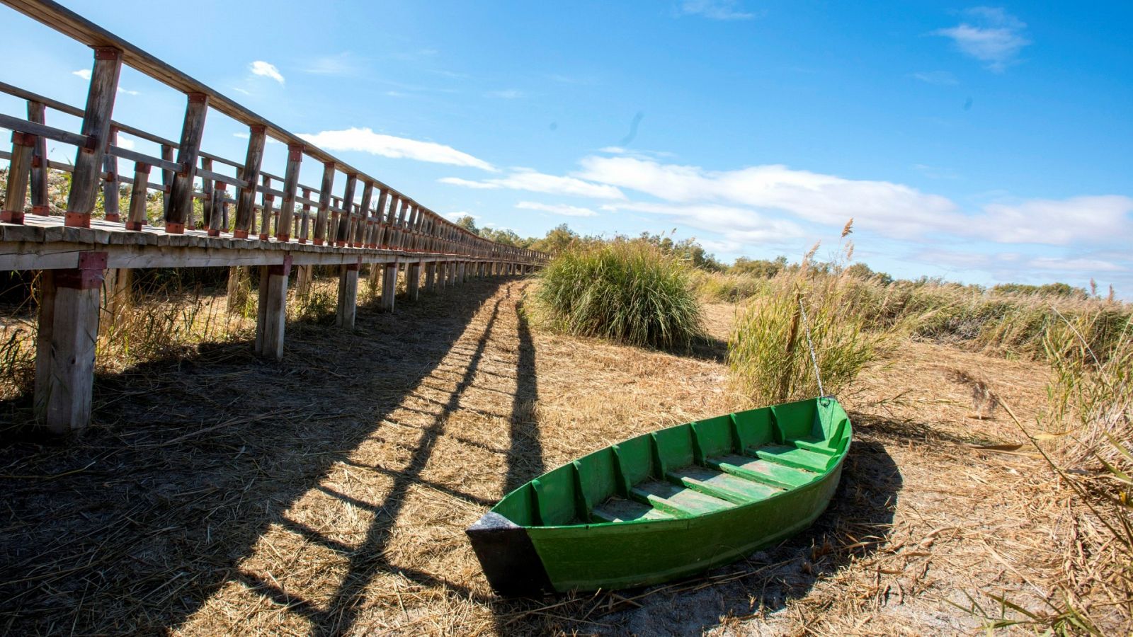 Parque Nacional de las Tablas de Daimiel