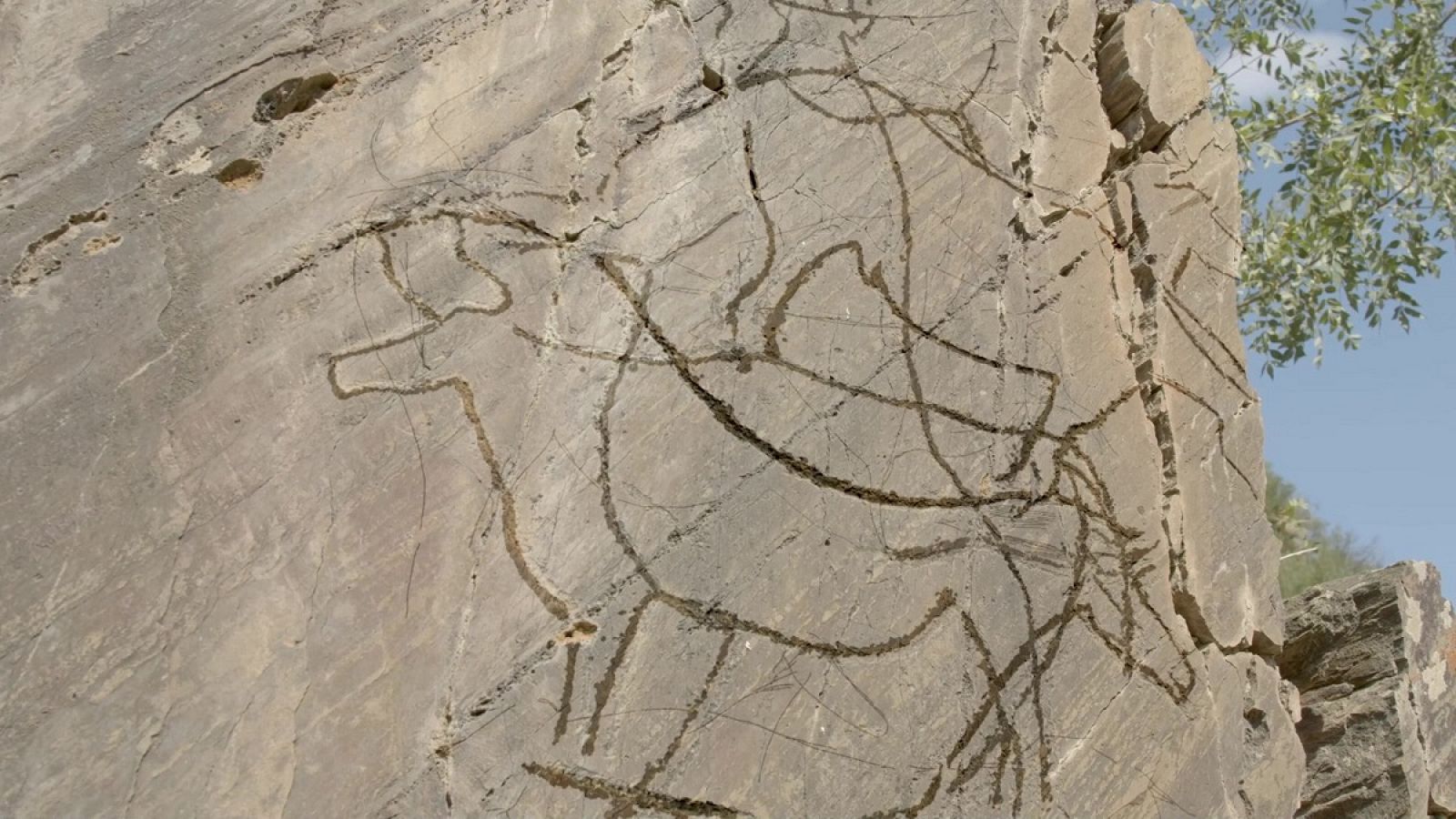 Arte rupestre en el río Côa