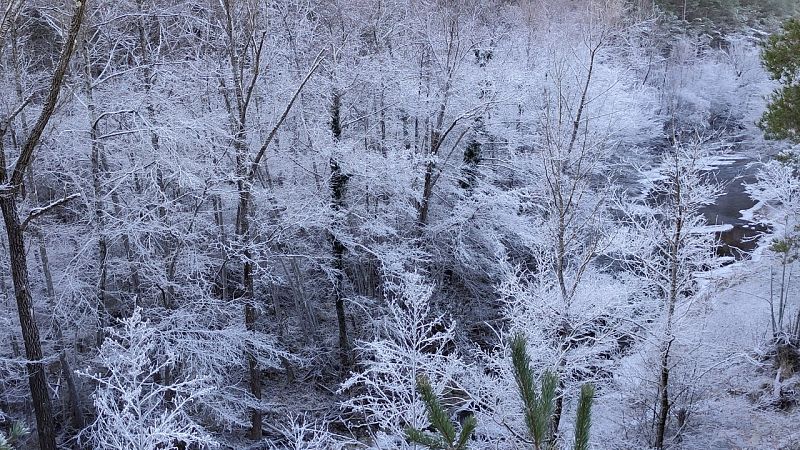 Imatge de Guardiola de Berguedà | Josep Maria Coll