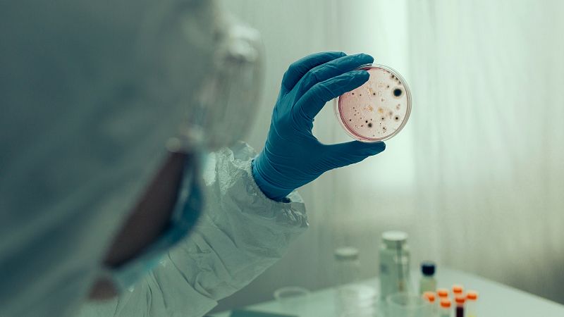 Las bacterias son cada vez más resistentes debido al abuso de antibióticos.