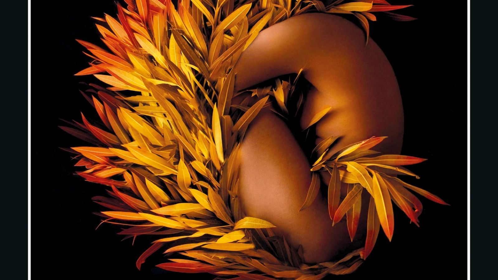 Detalle de la portada de 'Yo, Tituba, la bruja negra de Salem'