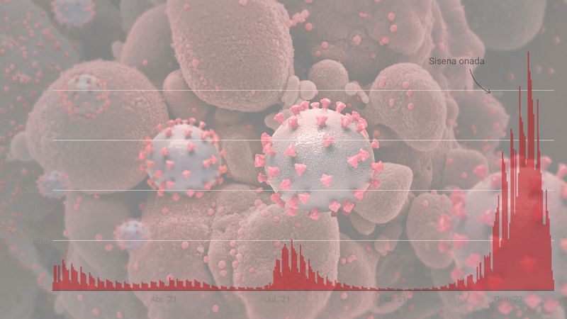 Dades COVID a Catalunya