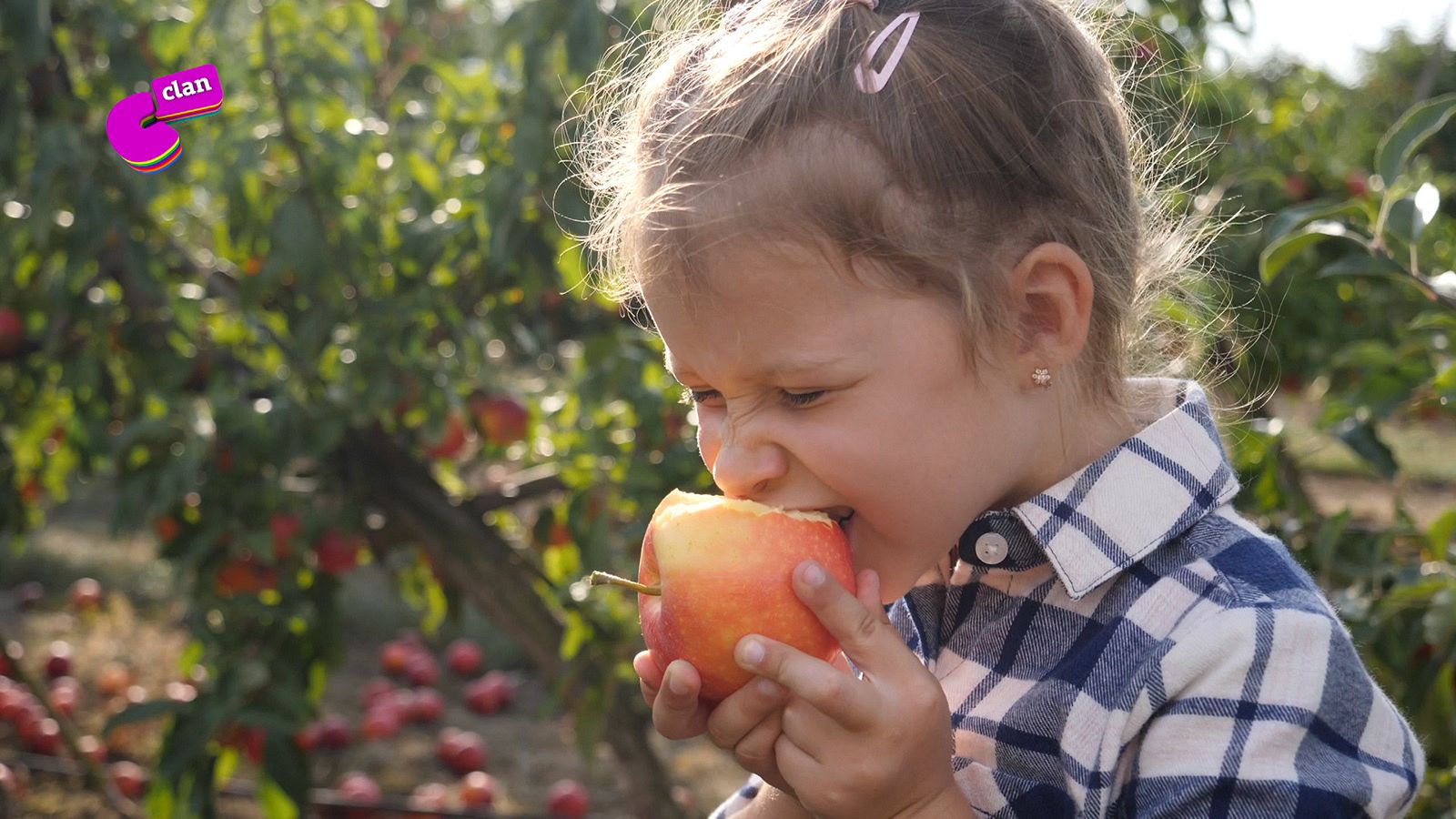 Se hablara de la importancia de comer fruta y verdura