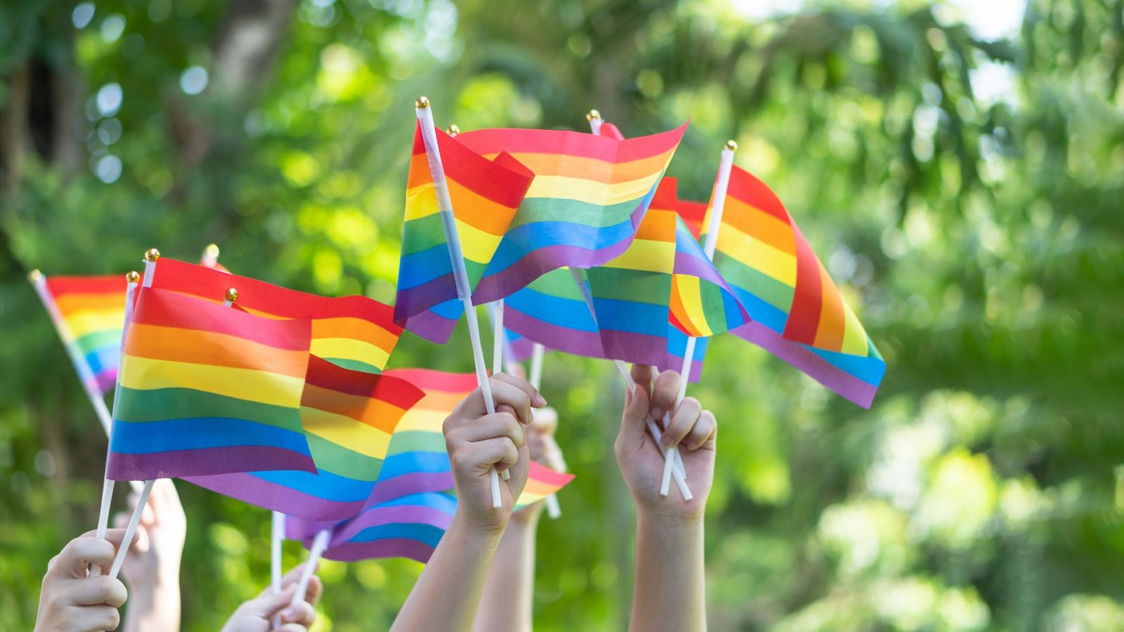 Banderas de la comunidad LGTBIQ