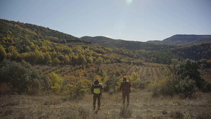 Caçadors de senglar a Vilanova de Prades, a la Conca de Barberà