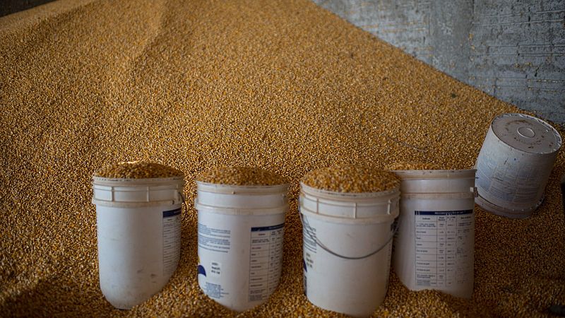 Imagen de varios cubos de pienso en Brasil