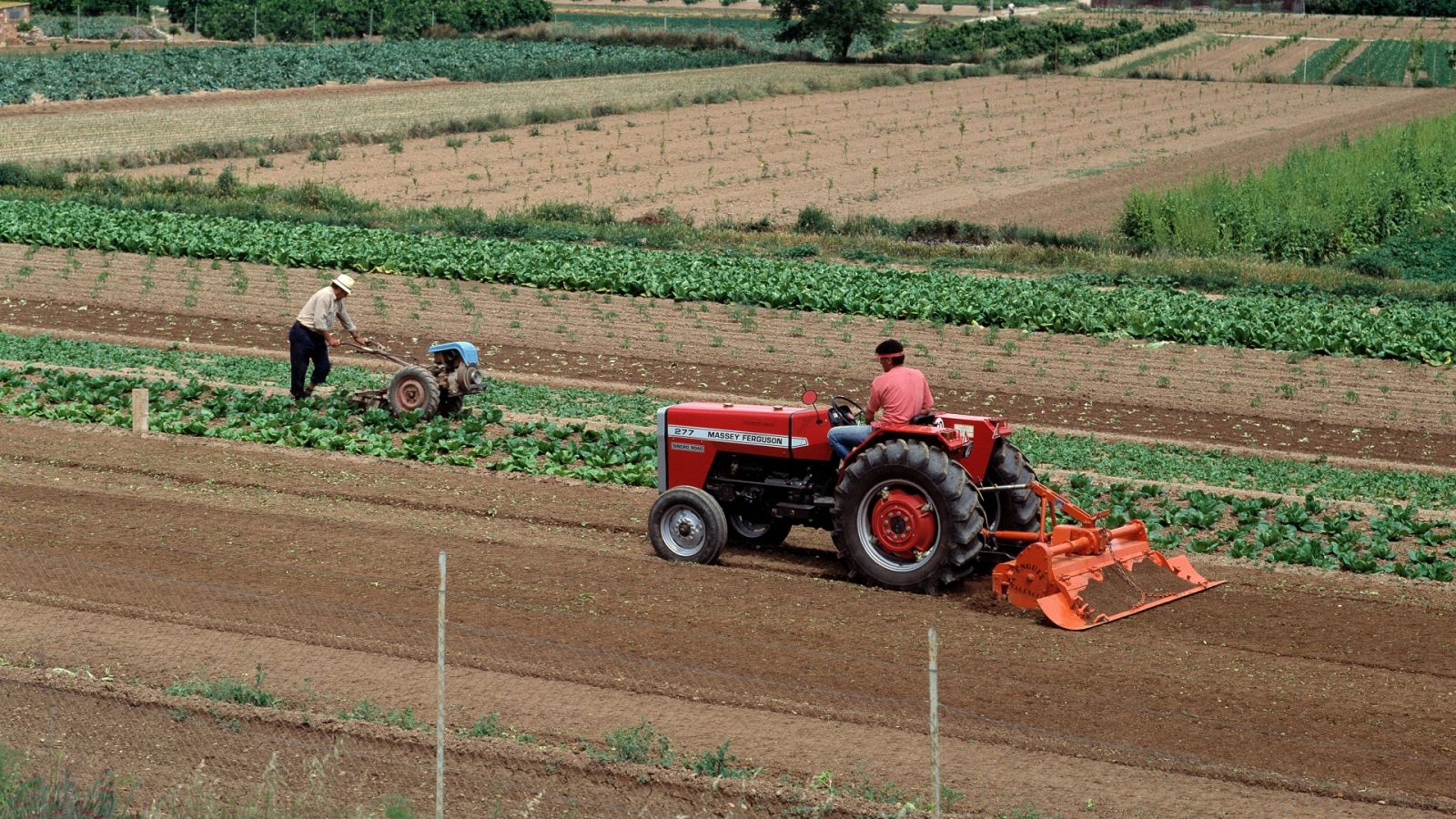 El Gobierno aprueba medidas de apoyo contra la sequía en el campo