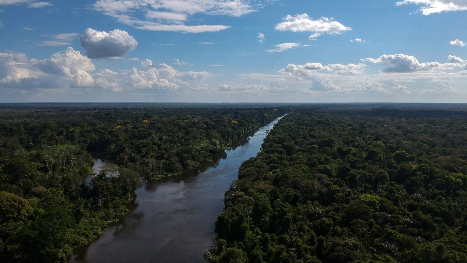 La selva del Amazonas