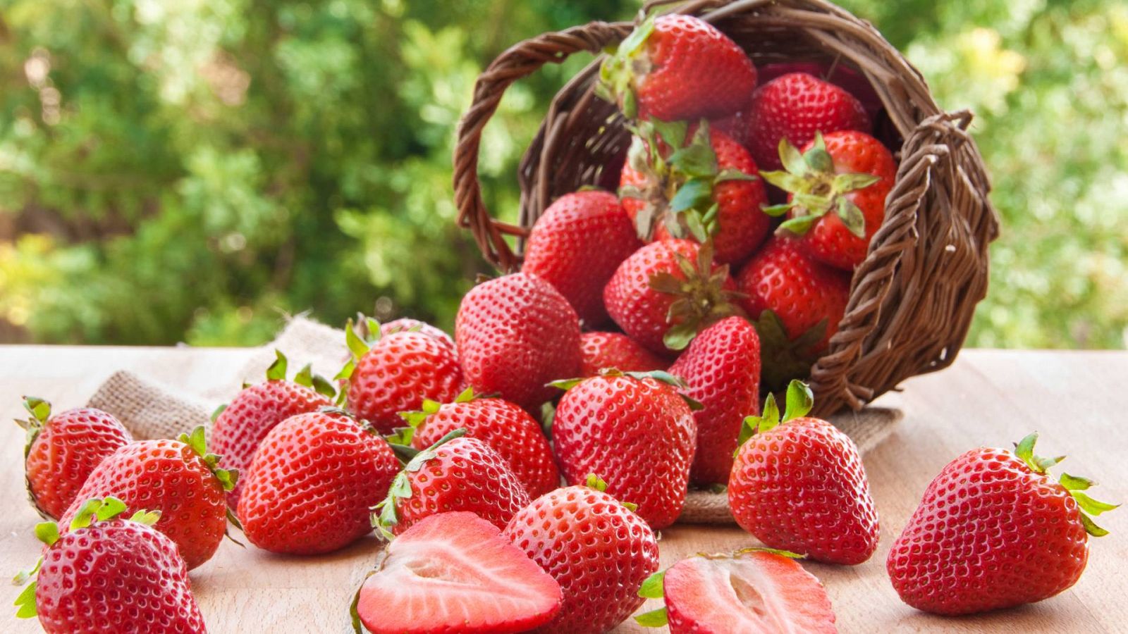 Fresas y fresones, las estrellas de la primavera