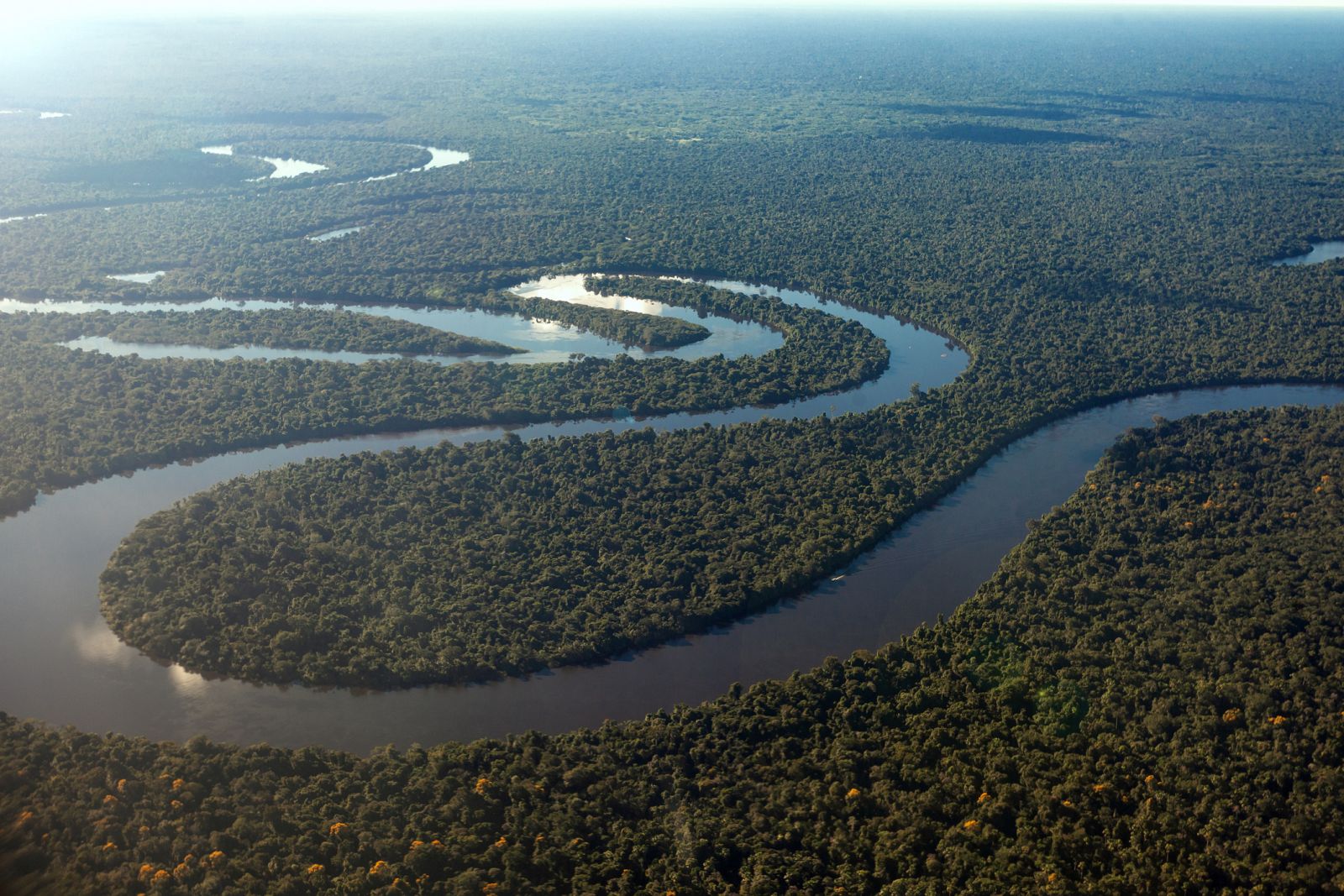 Imagen de archivo del río Amazonas