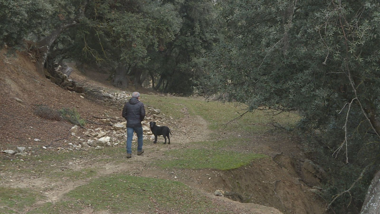 El único habitante de Huecos de Bañares camina de espaldas junto a su perro por la sierra de Segura.