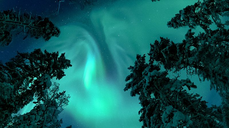 Tormentas solares: ¿Un peligro real para los seres vivos?