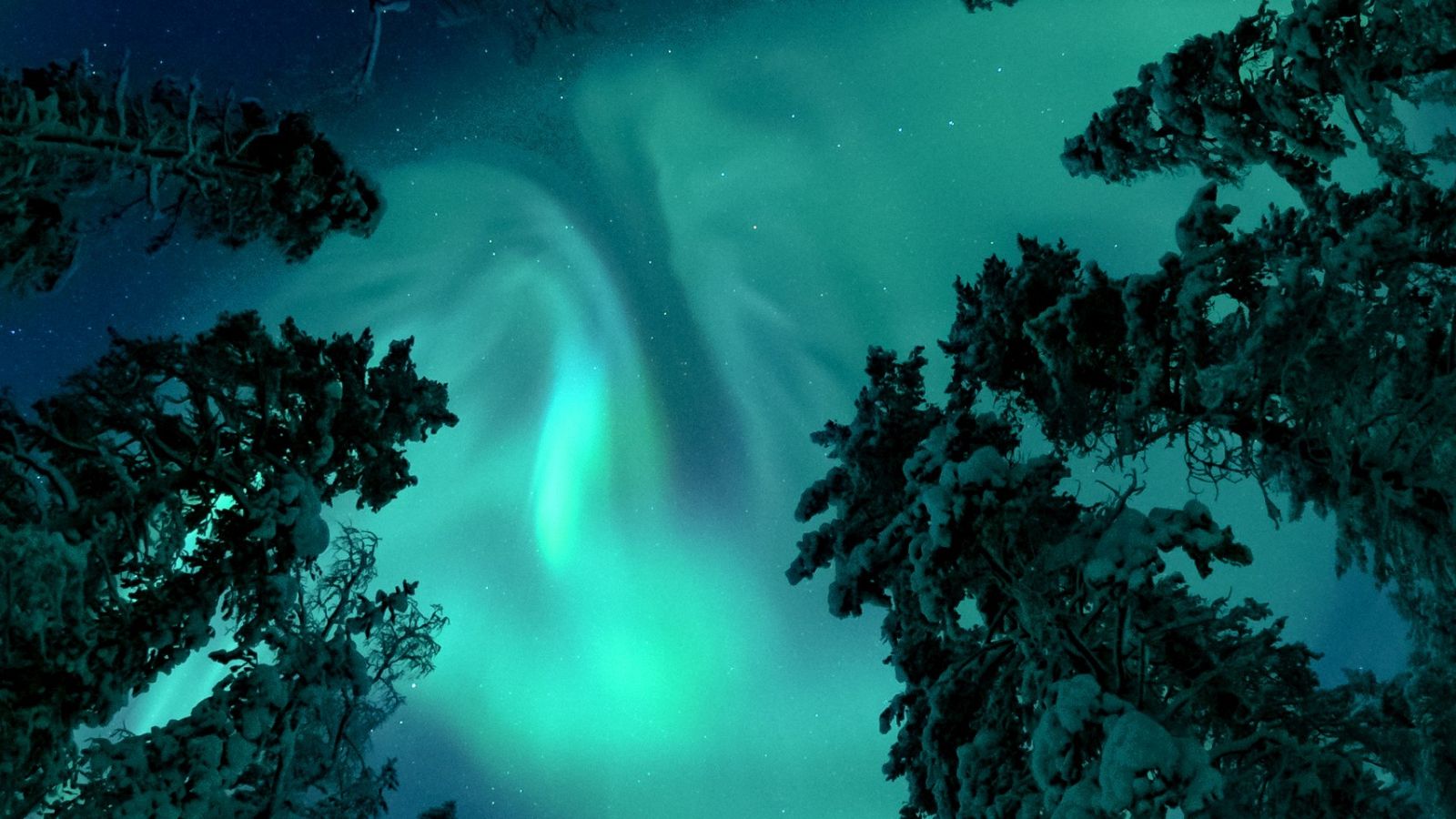 Tormentas solares: ¿Un peligro real para los seres vivos?