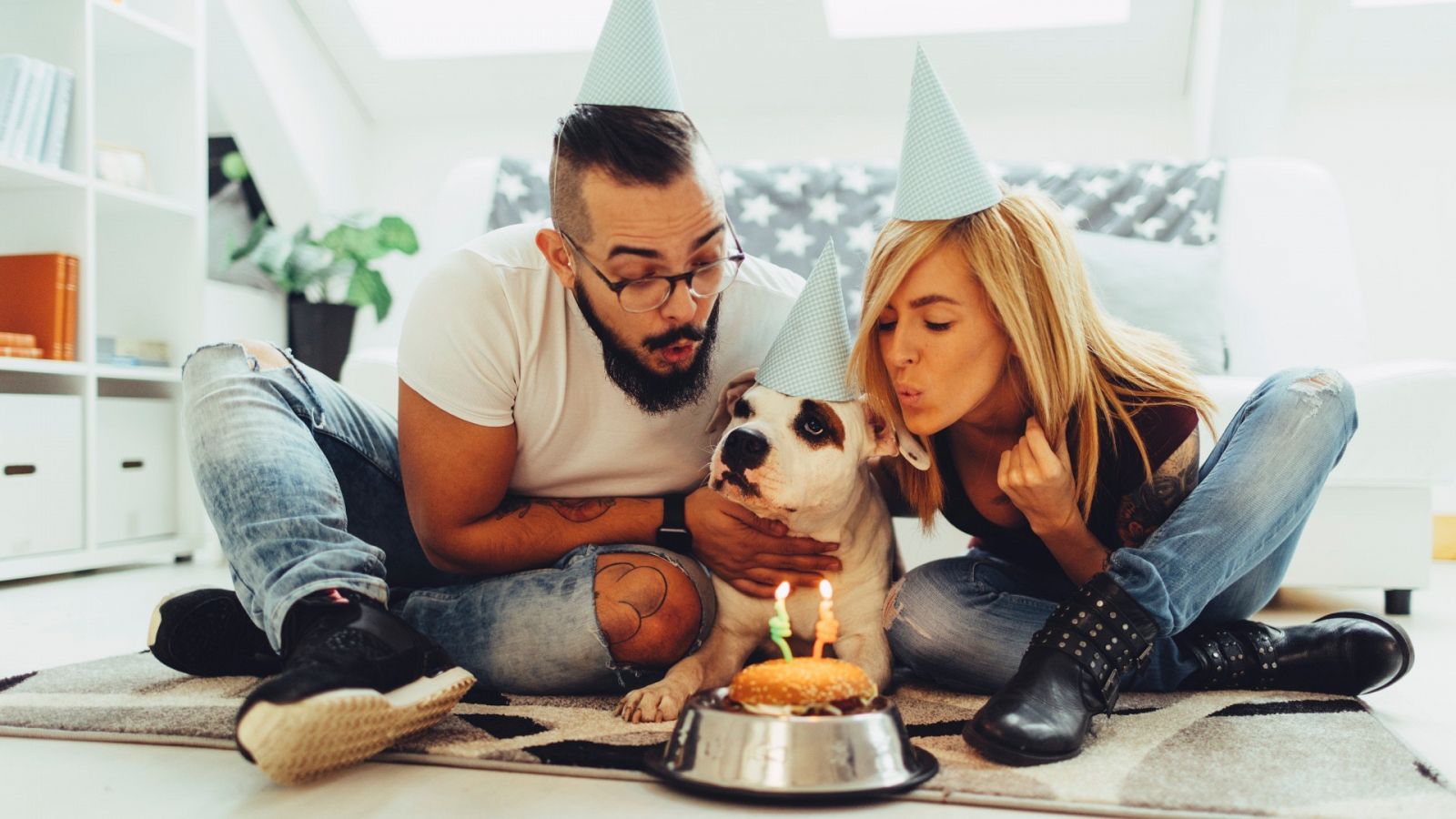 Los perros como miembros de la familia
