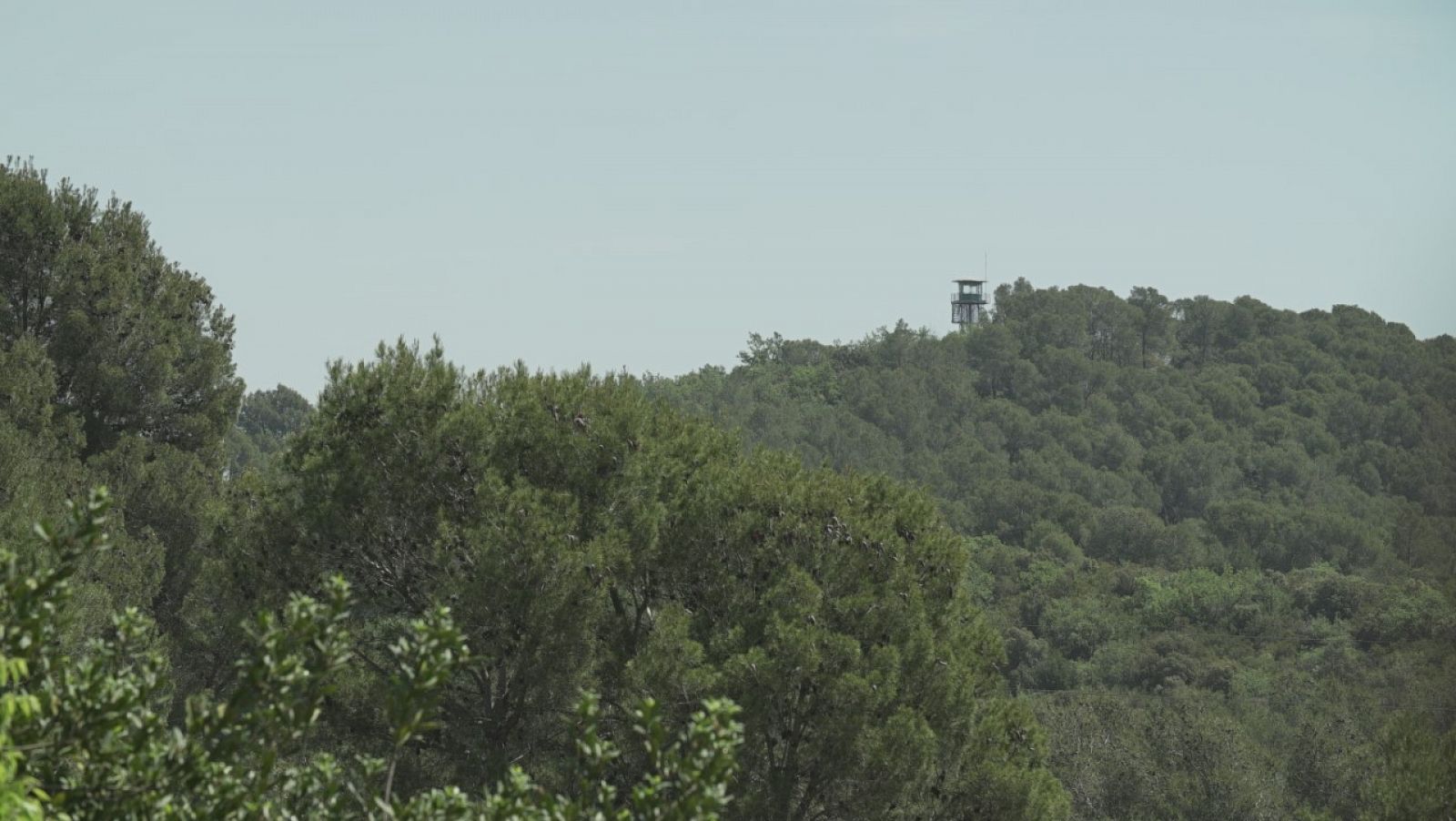 El dispositiu consisteix en una vigilància activa conformada, entre d'altres, per 13 torres de guaita (AMB)