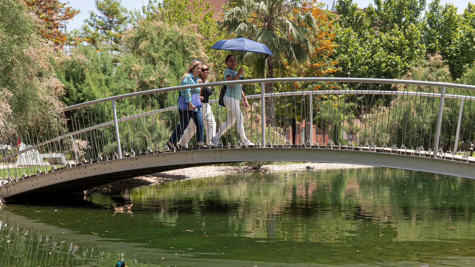 Una mujer se protege del sol en el jardín de la Seda de Murcia