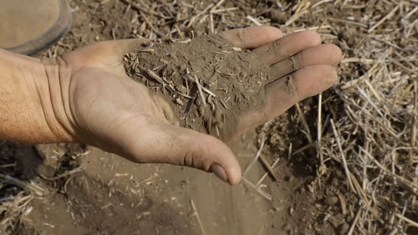 La noche temática se centra en el cambio climático