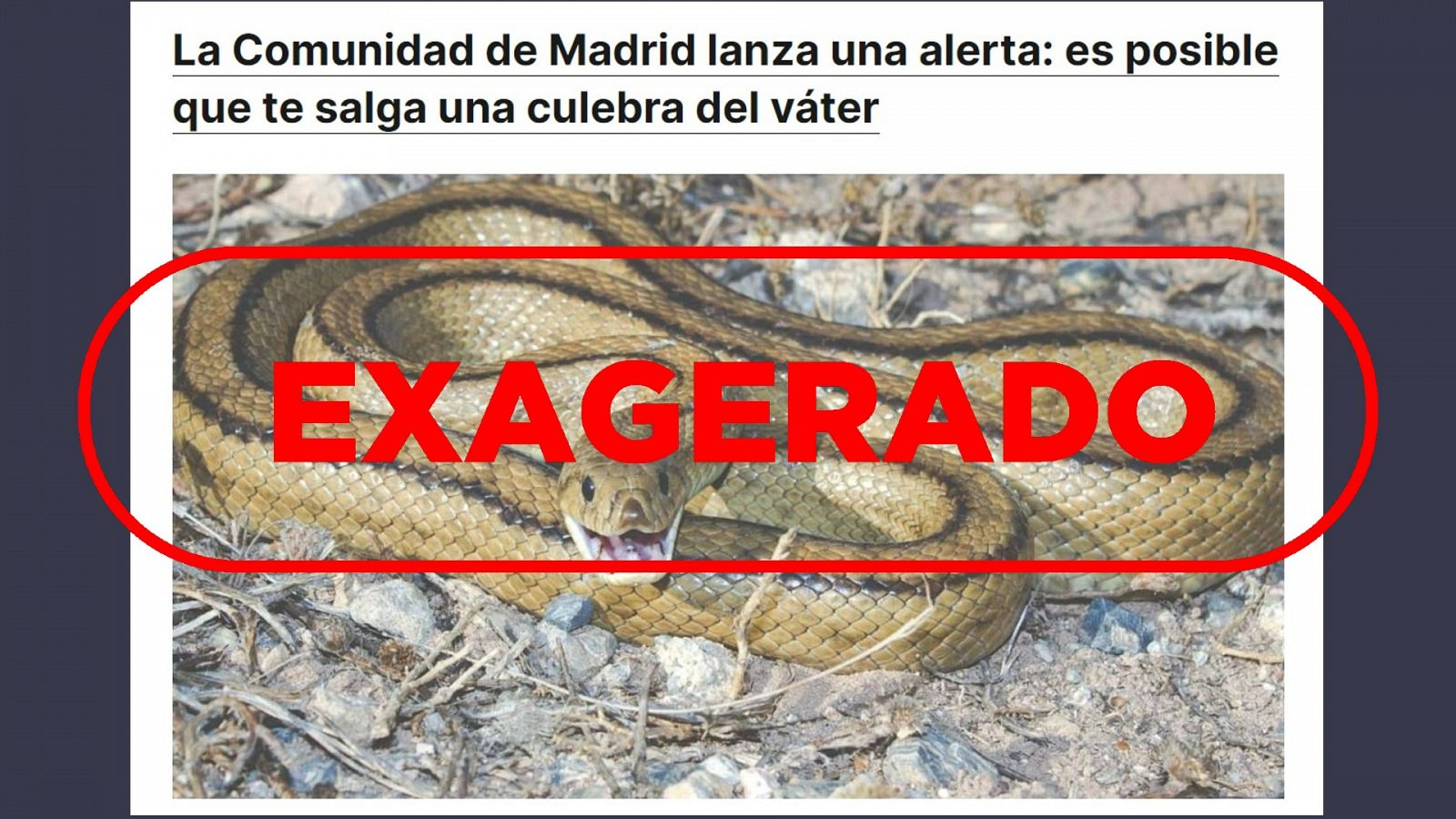 Titular que difunde la supuesta alerta de la Comunidad de Madrid sobre la aparición de culebras en los váteres con el sello: Exagerado