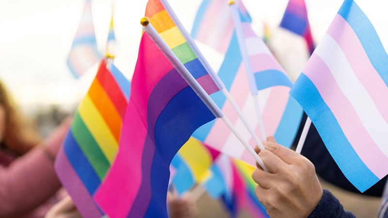 Algunes de les banderes LGTBIQ+