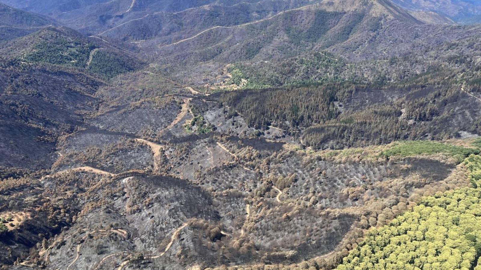 Imagen de la zona afectada por el incendio de Pujerra y zona Sierra Bermeja (Málaga).