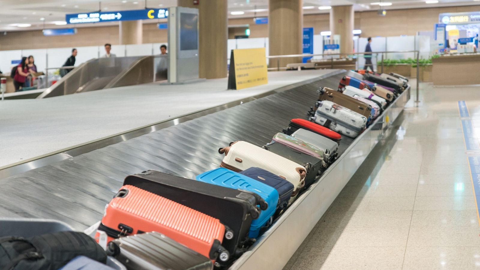 las maletas: hacer si llega tu equipaje al aeropuerto