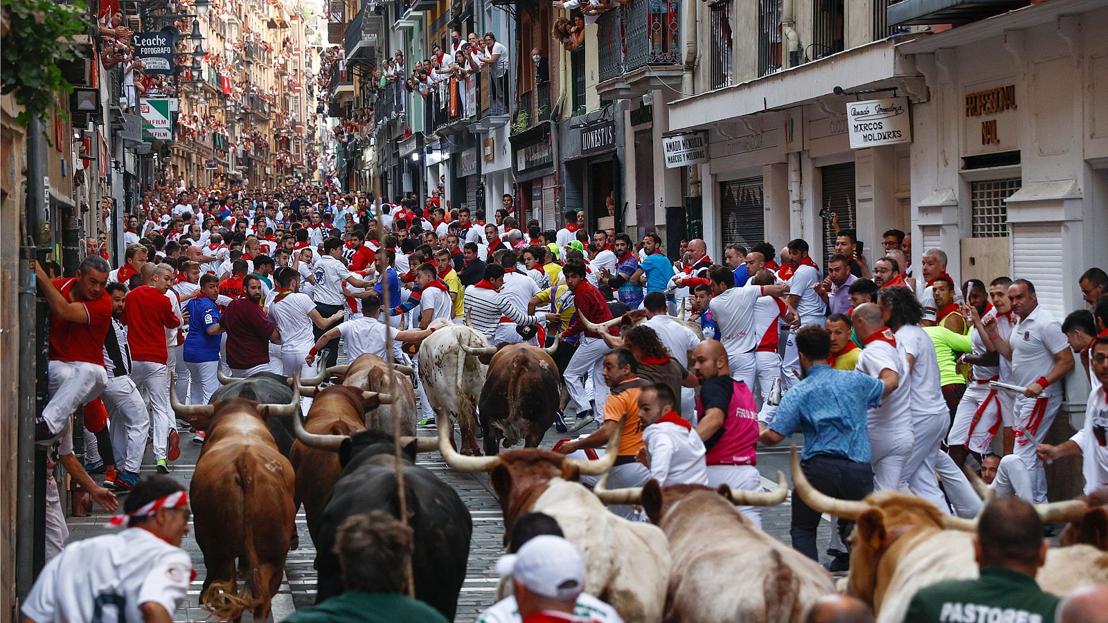 Los mozos son perseguidos por los toros de la ganadería Miura durante el octavo y último encierro.