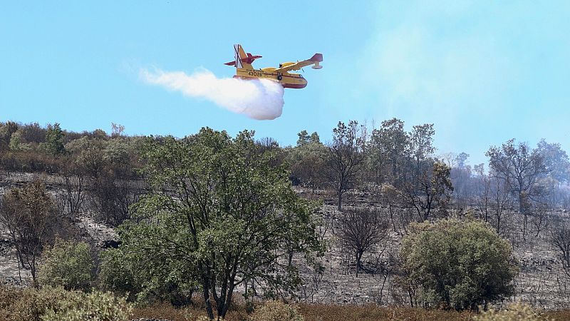 Incendios activos en España, en directo, 20 de julio