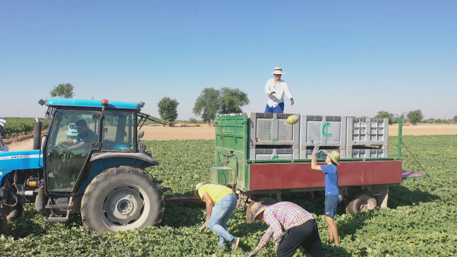 Agricultores en Argamasilla de Alba, Ciudad Real