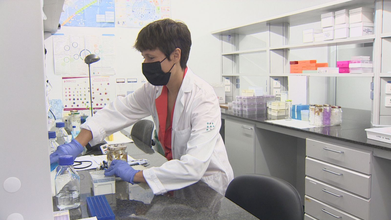 Investigadora als laboratoris de l'Idisba a l'hospital de Son Espases.