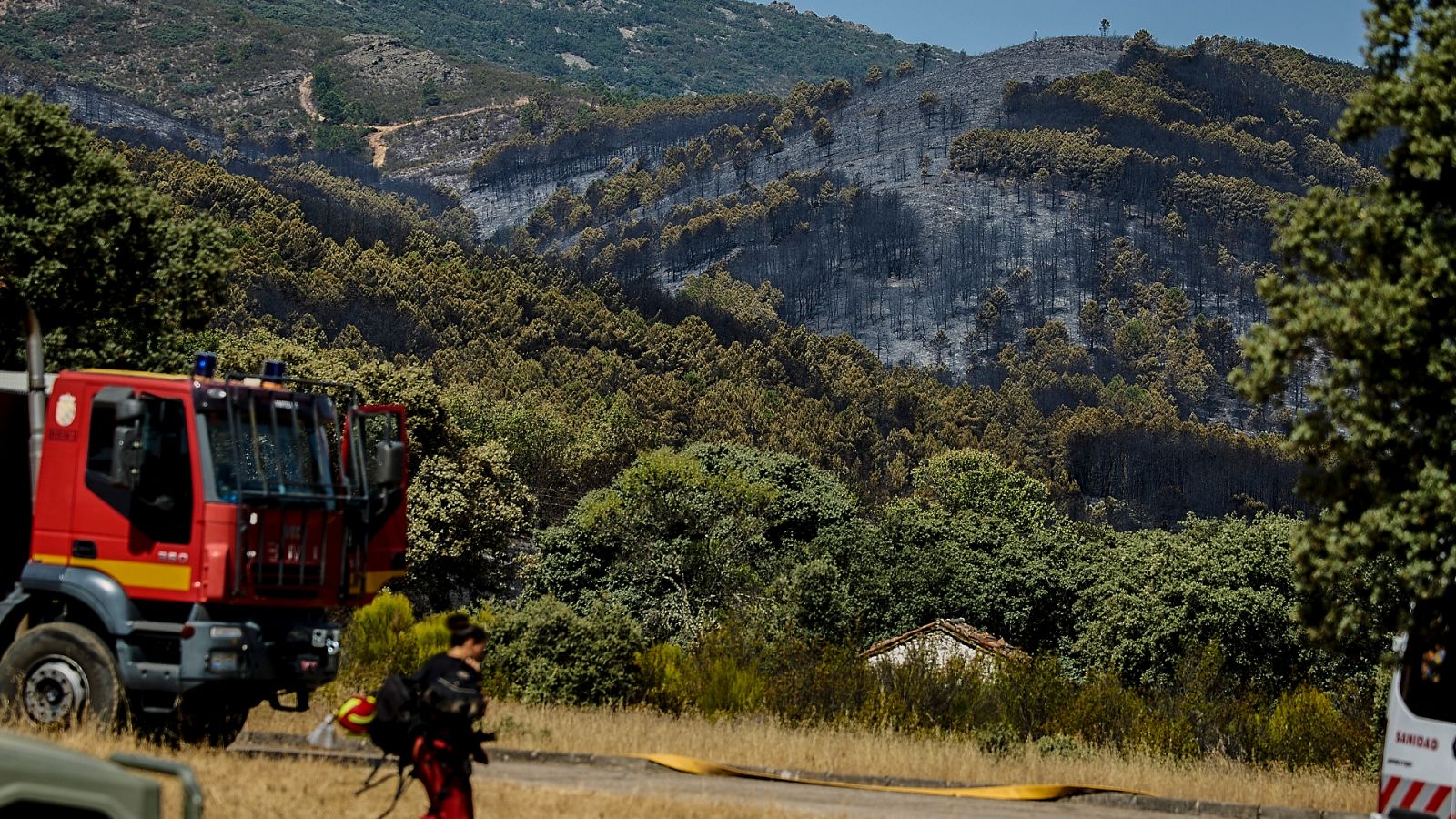 Vista de la superficie quemada en la zona del incendio forestal que se originó en Sevilleja de la Jara (Toledo).