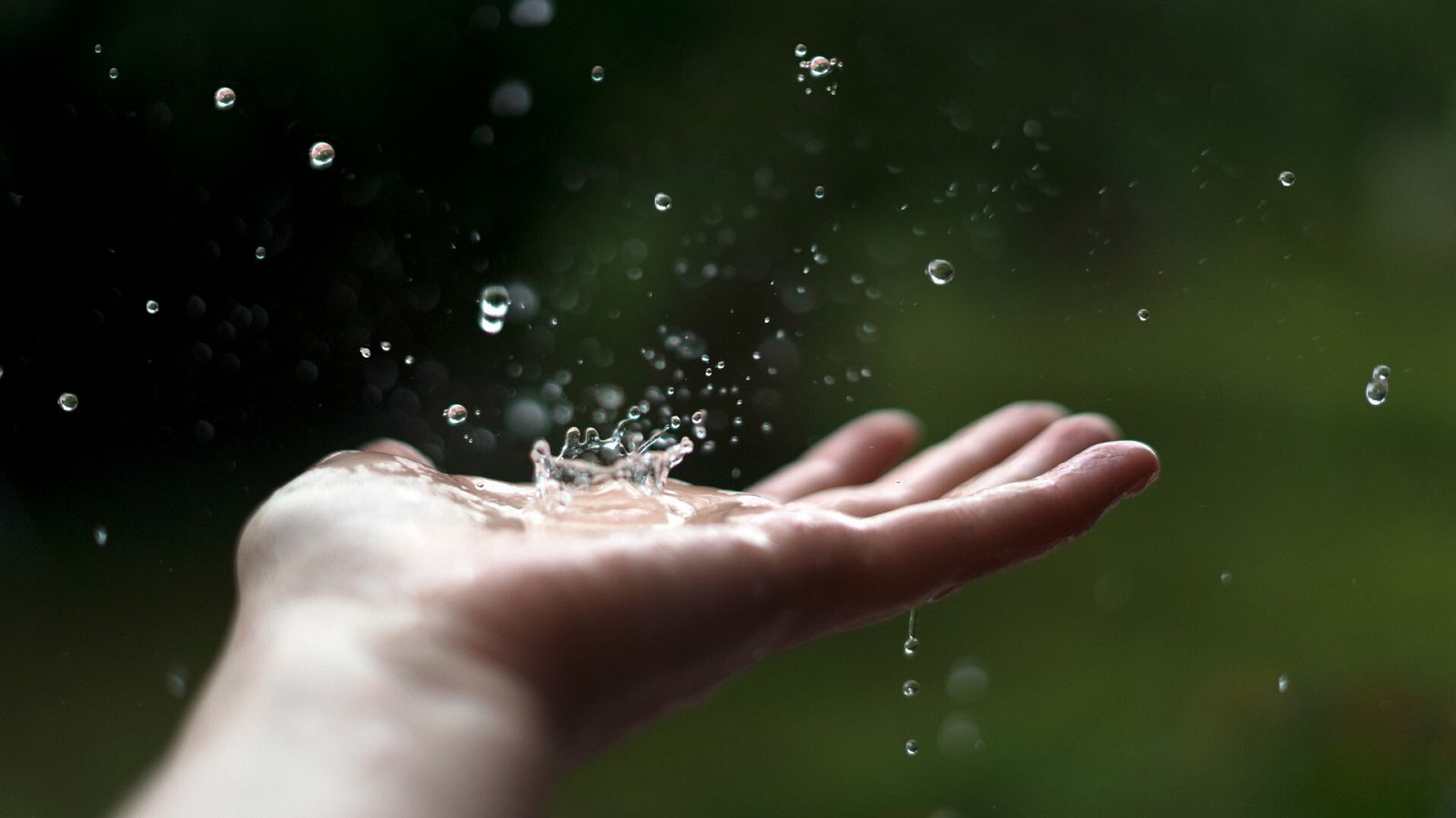 Un persona recoge agua de lluvia en su mano