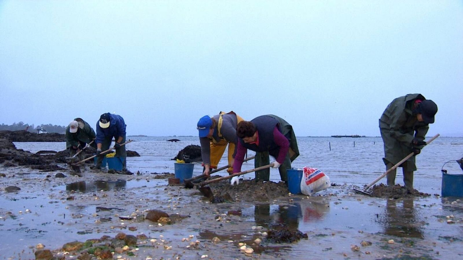 Mariscadoras en Vilaxóan, en la Ría de Arousa (Galicia)