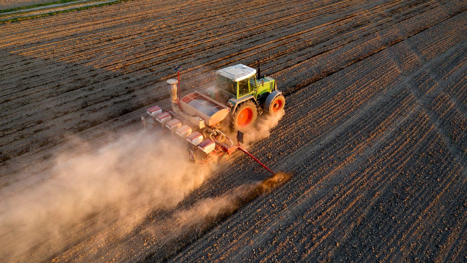 Un tractor siembra trigo en una imagen de archivo