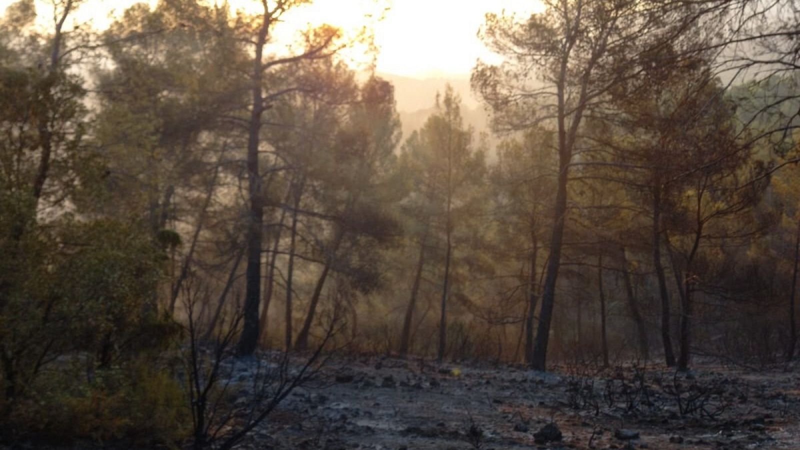 Una imagen del área forestal afectada por el incendio declarado en Benatae (Jaén)