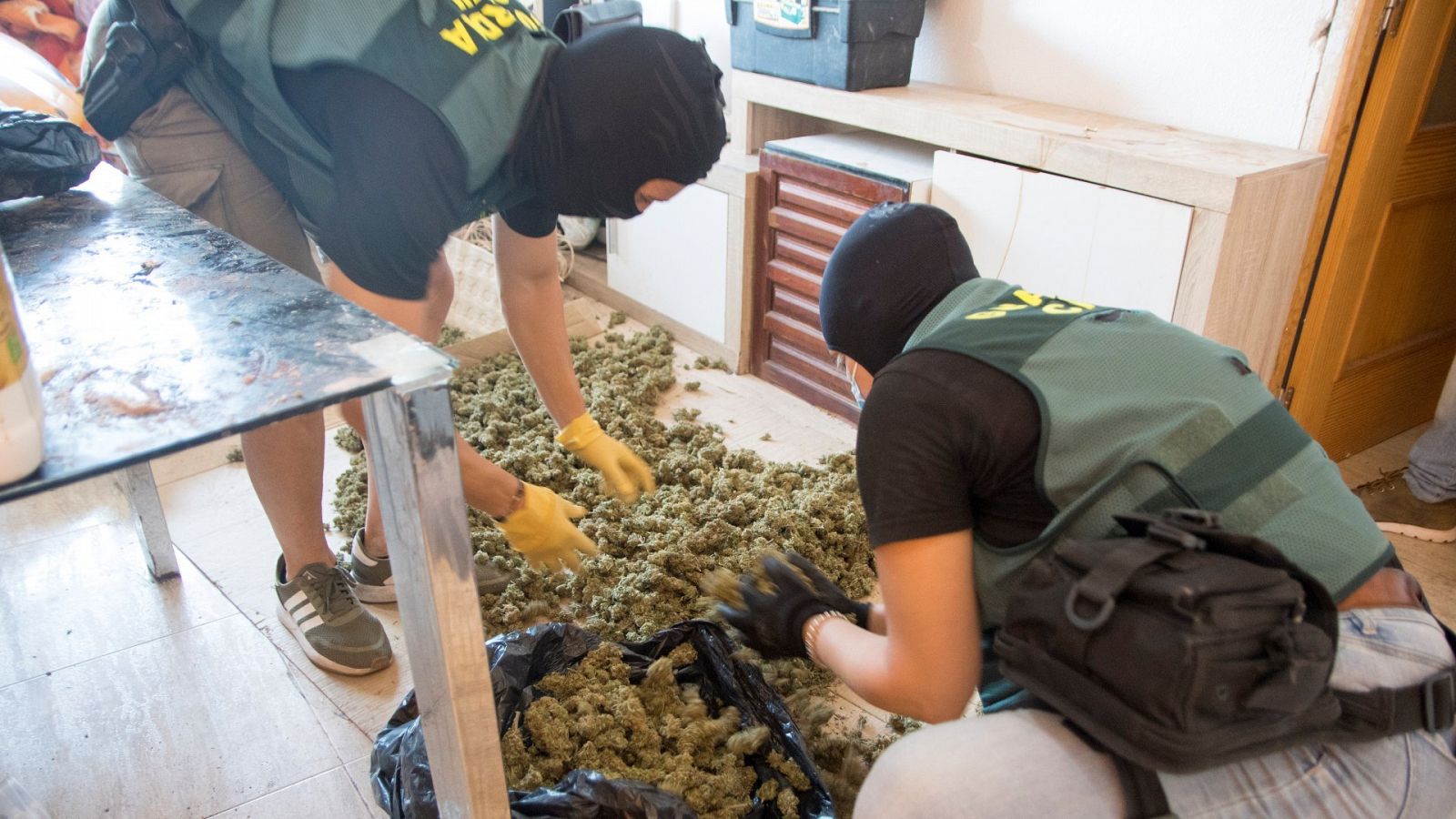 La Guardia Civil durante una operación contra el cultivo de cannabis en Roquetas de Mar (Almería)