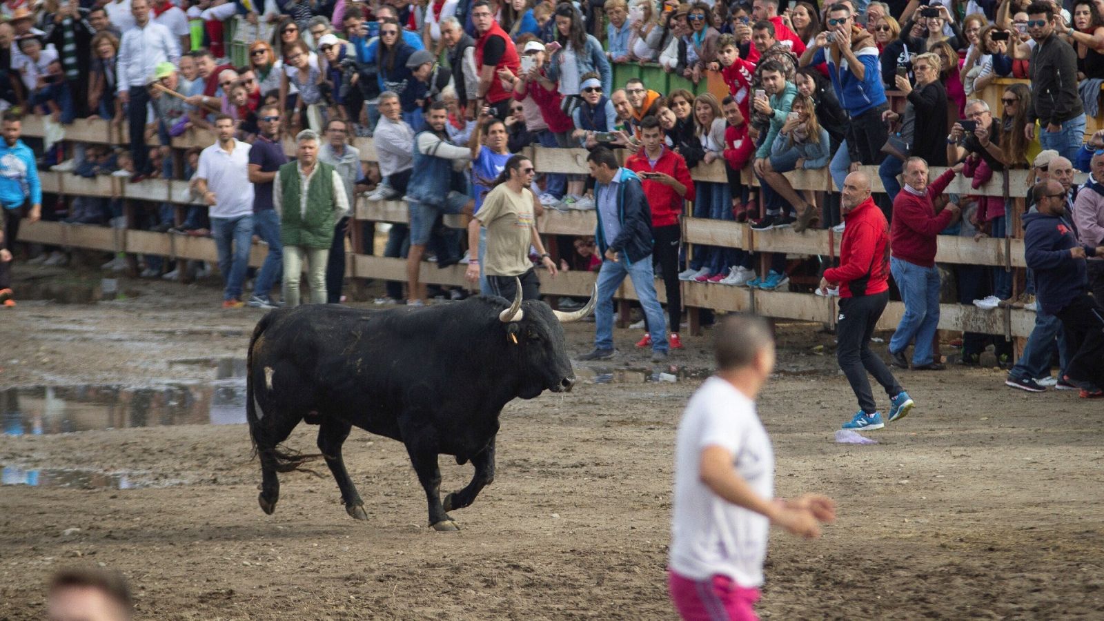 Imagen de archivo de 2019 del festejo del Toro de la Vega