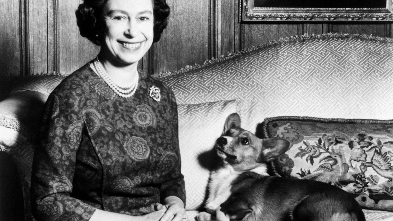 Isabel II y sus corgis: ¿quién se los queda?