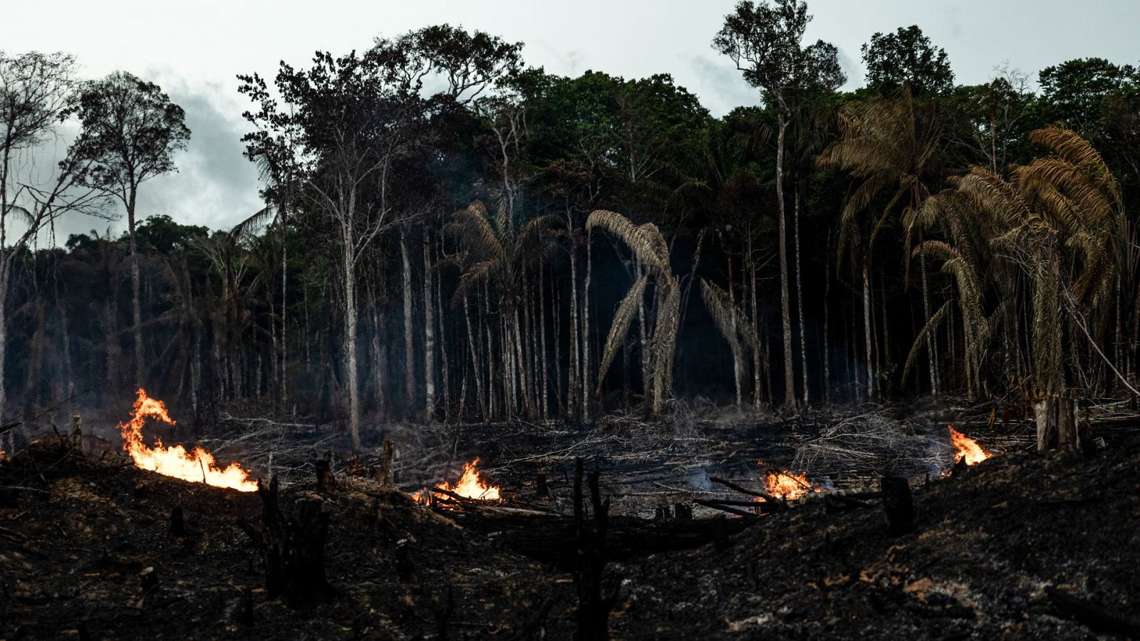 Vista de incendios el 6 de septiembre de 2022 en Careiro da Várzea (Brasil)