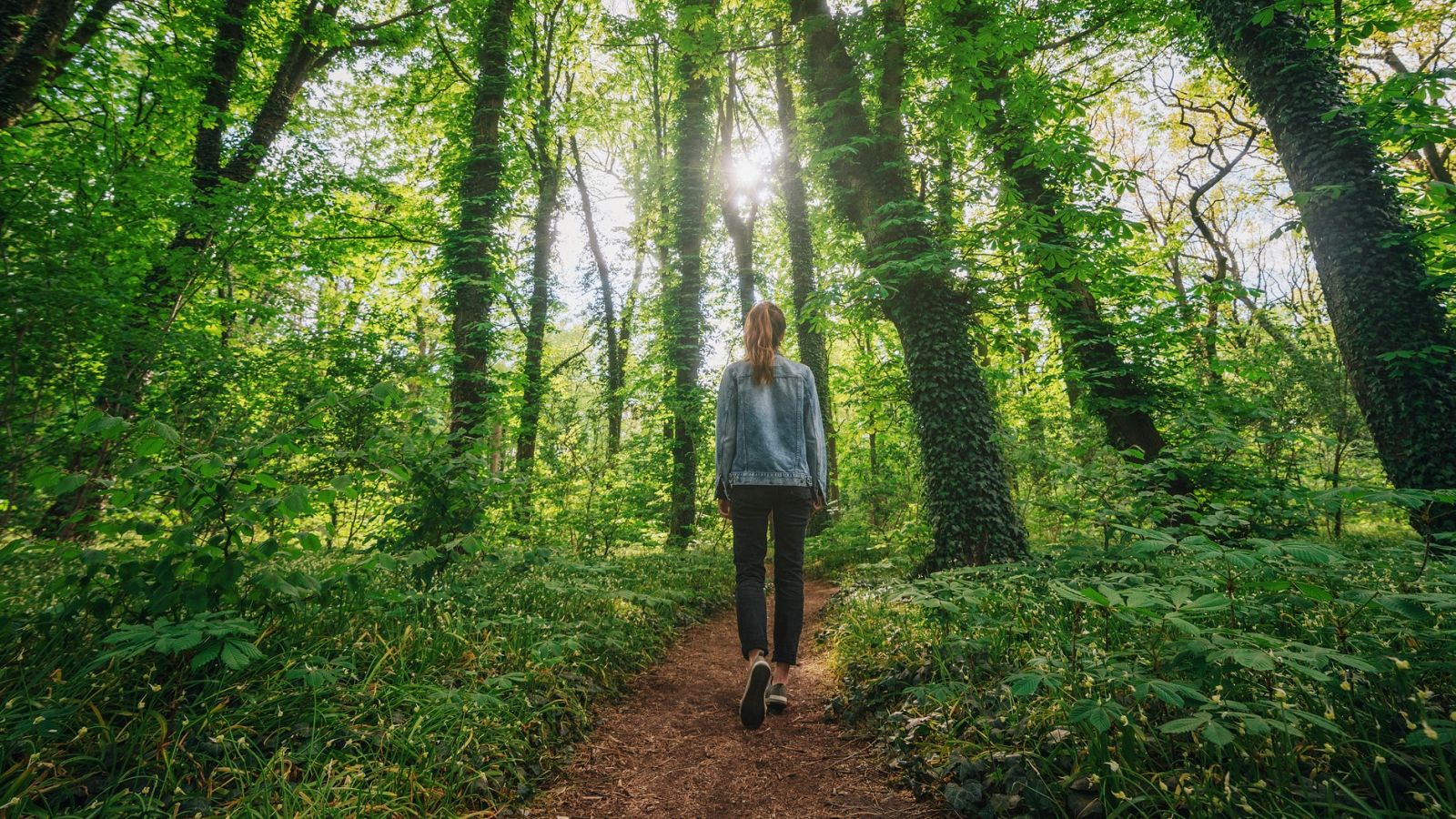 ¿Por qué pasear por el campo amansa nuestro cerebro?