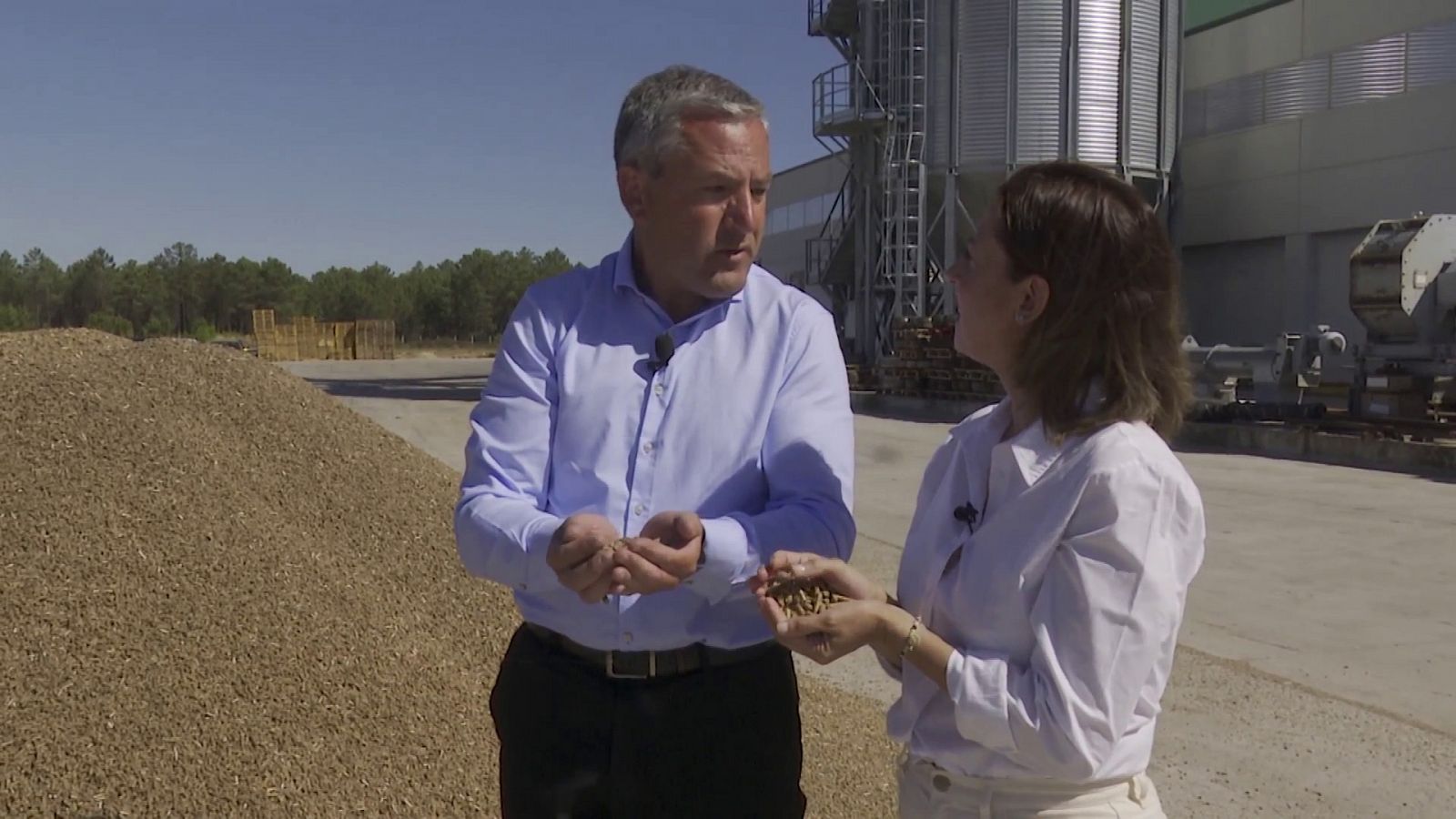 En una fábrica de estufas de pellet