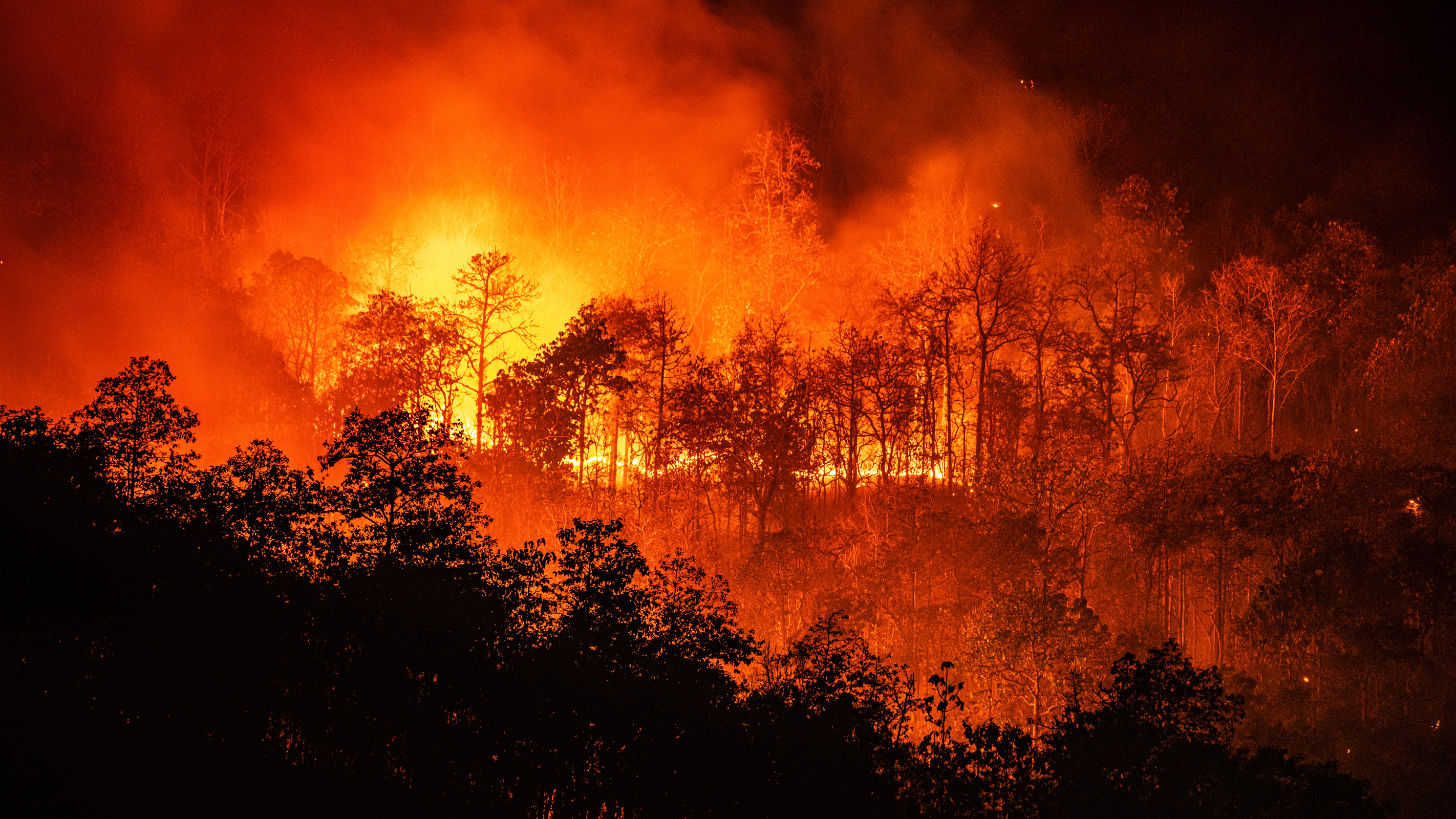 Cambio climático