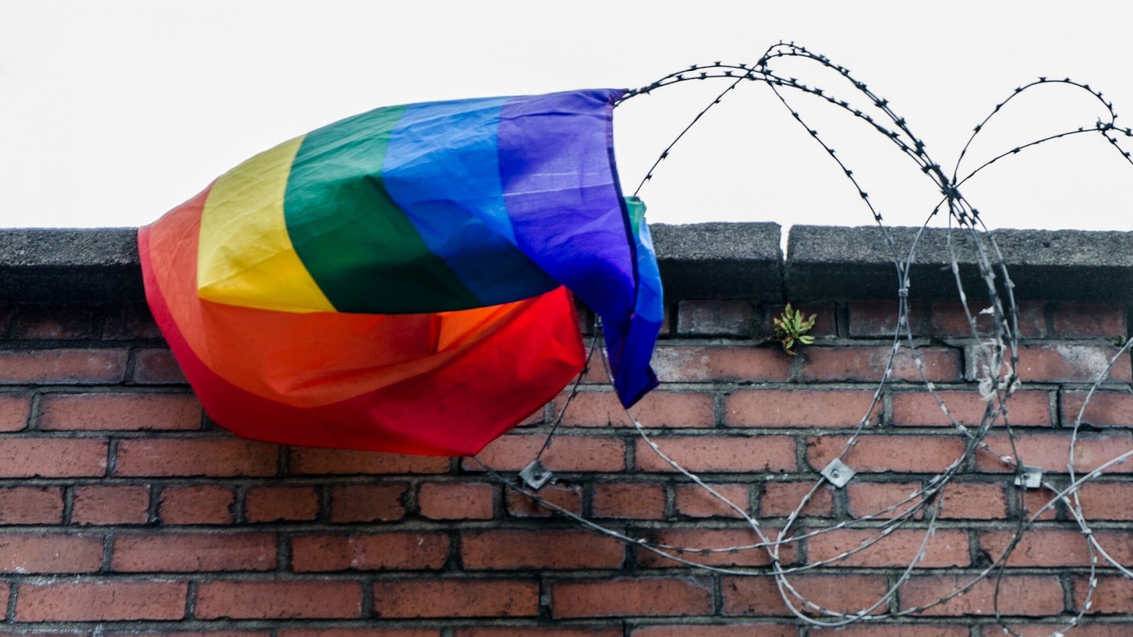 Los delitos de odio por motivos de orientación sexual e identidad de género se disparan un 68% respecto a 2019