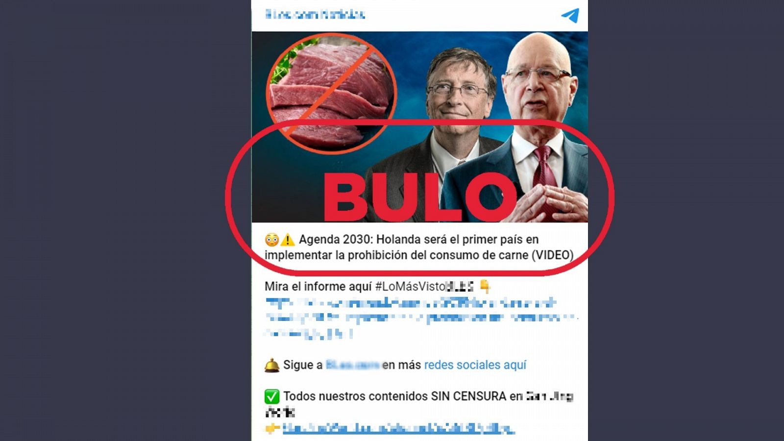 Mensaje que reproduce el bulo de la prohibición del consumo de carne en Holanda , con el sello de bulo de VerificaRTVE en rojo.