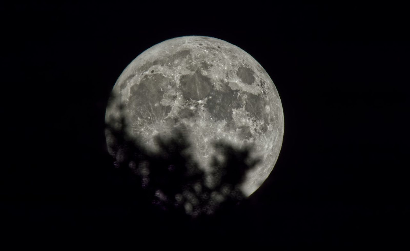 Lluna plena des Arenys de Munt (Joan Navarra)