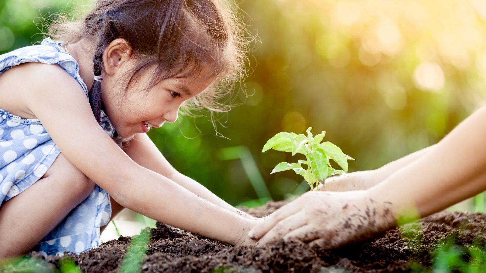 Niña planta un árbol joven en el suelo